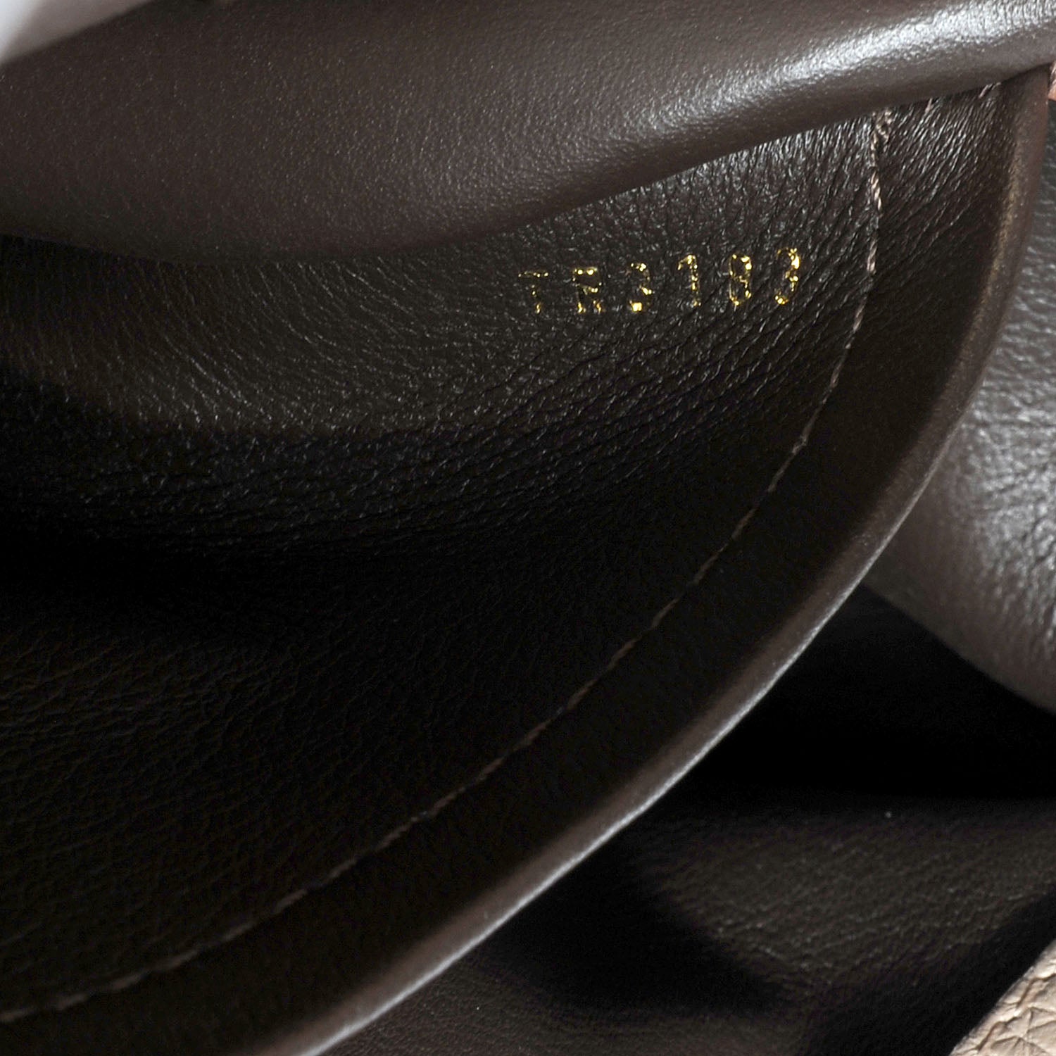 Louis Vuitton Taurillon Capucines MM Galet 9 of 10