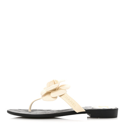 Chanel Jelly Quilted Camellia Thong Sandals 37 White Black 1 of 10