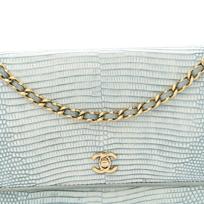 Chanel Lizard Wallet on Chain WOC Light Grey 9 of 19
