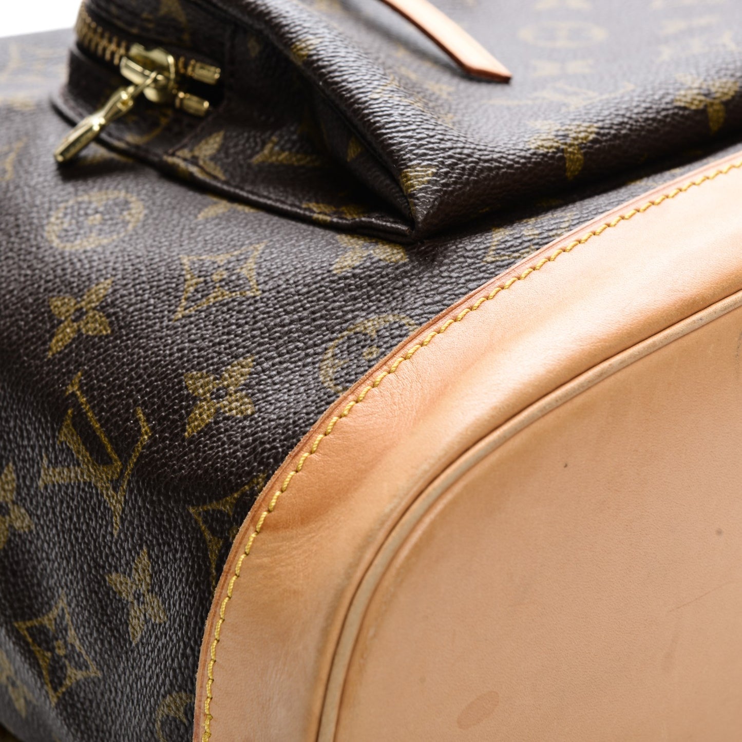 Monogram Montsouris GM Backpack