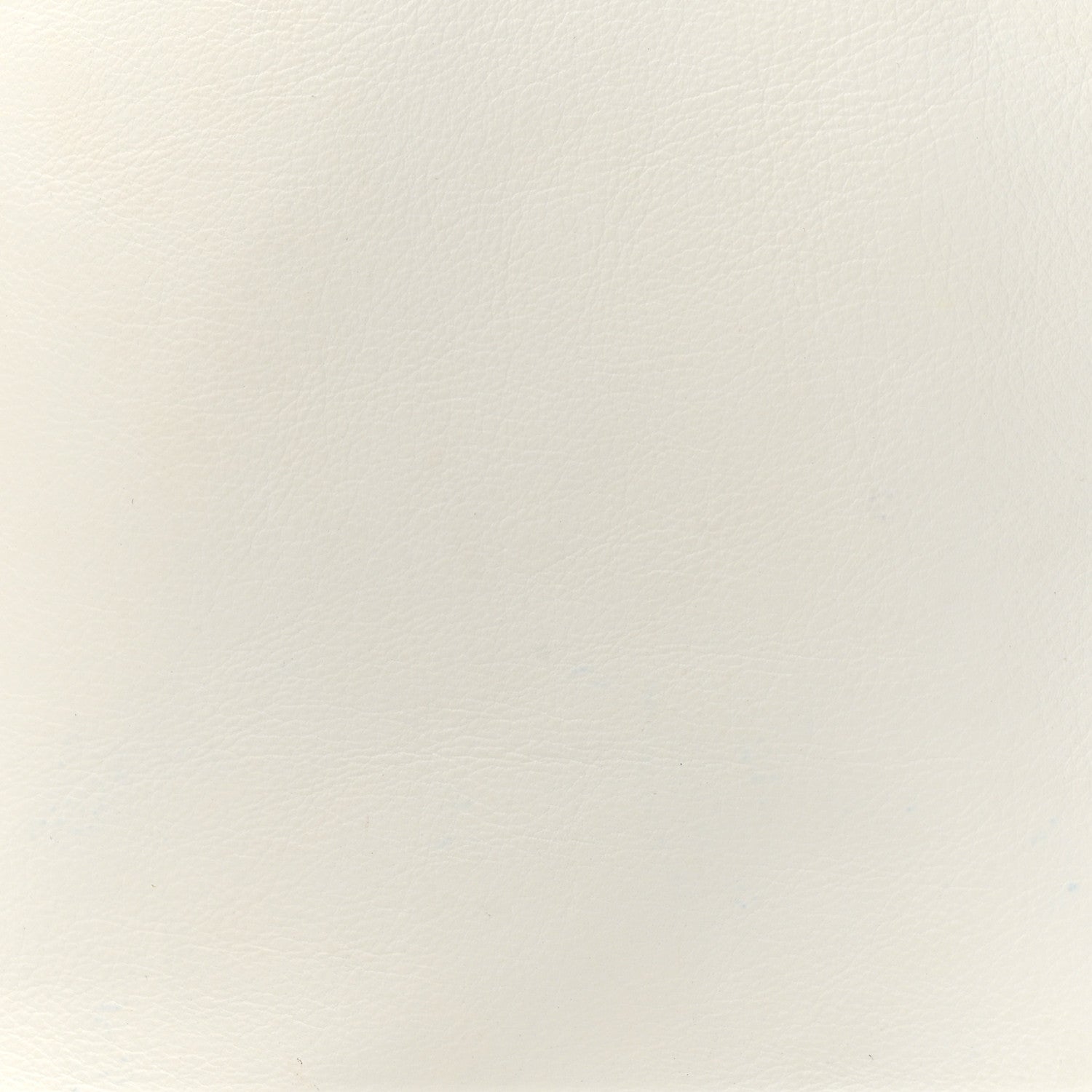 Goyard Goyardine Reversible Mini Anjou White 13 of 28