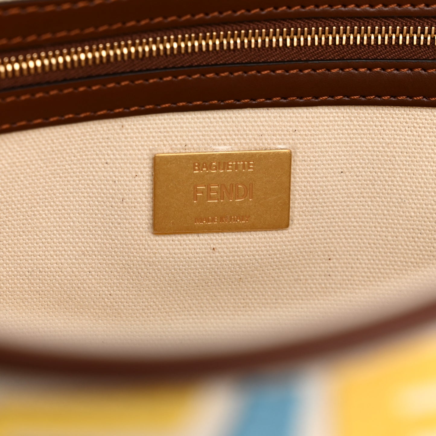 X SARA COLEMAN Canvas Vitello King Seta FF Fish Eye Embroidered Baguette Grezzo Multicolor Ghianda