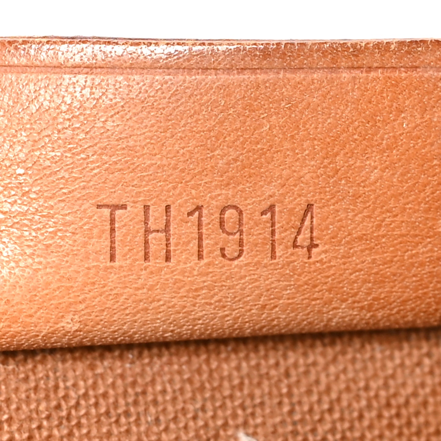 Monogram Mini Sac HL Speedy