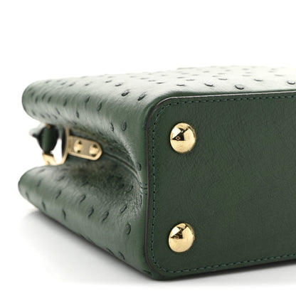 Louis Vuitton Ostrich Capucines BB Mint 8 of 9