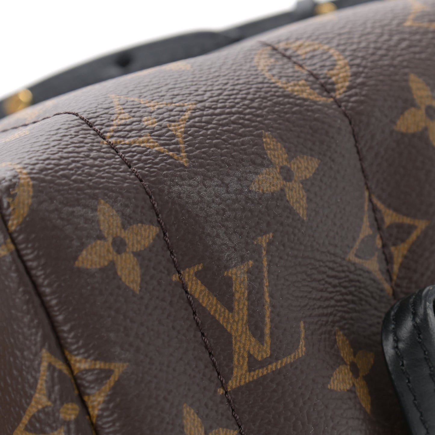 Monogram Palm Springs Backpack Mini