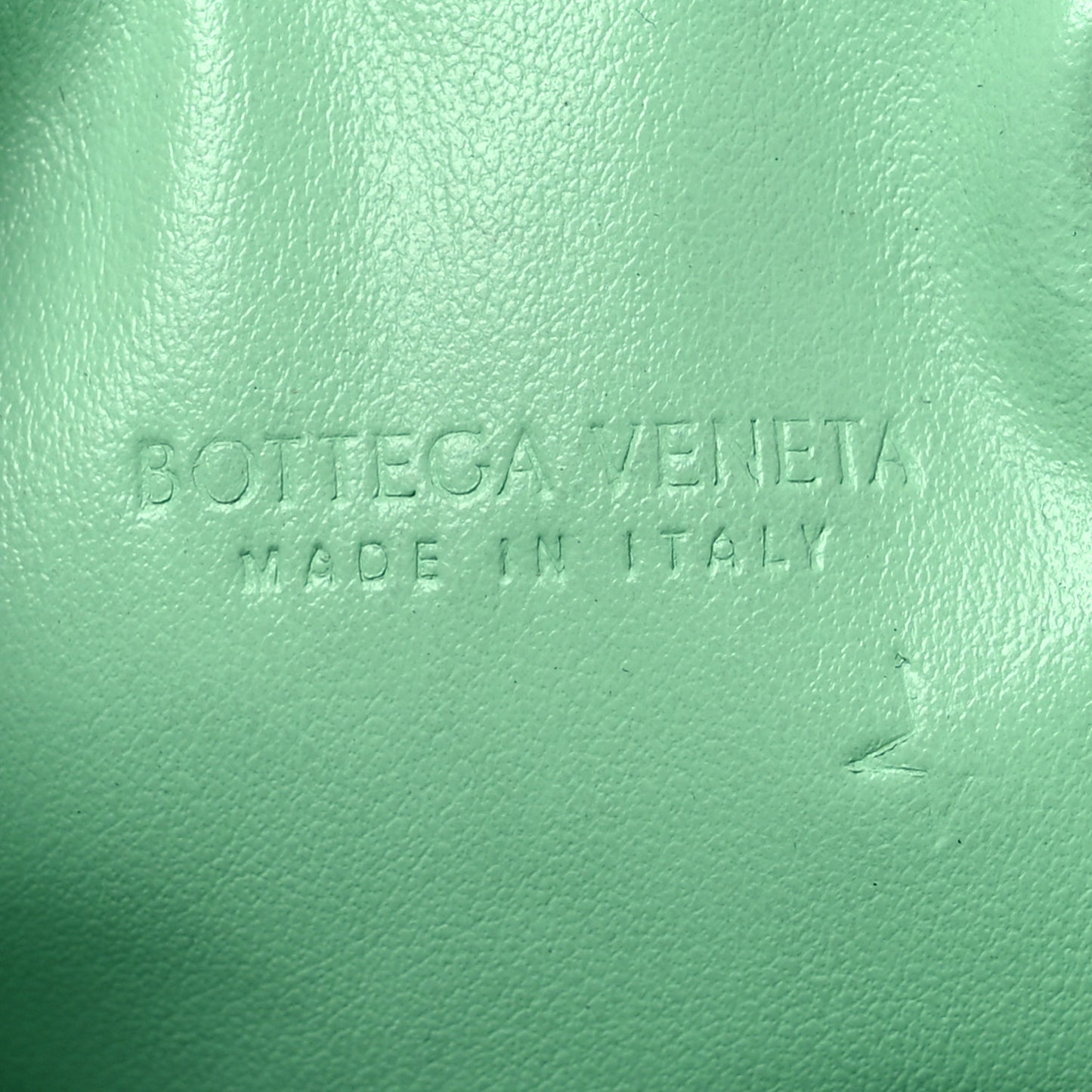 Nappa Intrecciato Fish Pouch On Chain Siren