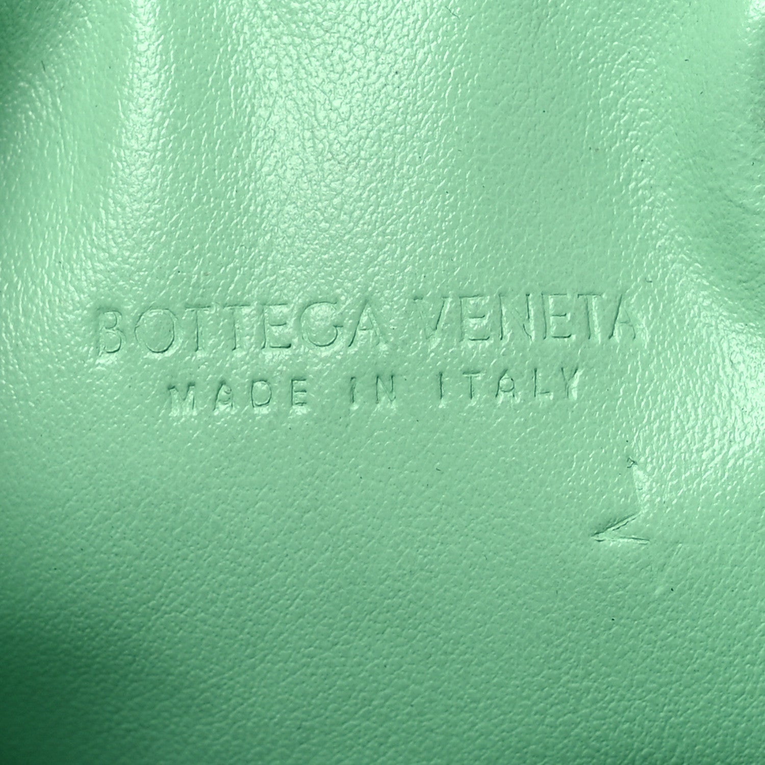 Bottega Veneta Nappa Intrecciato Fish Pouch On Chain Siren 5 of 9