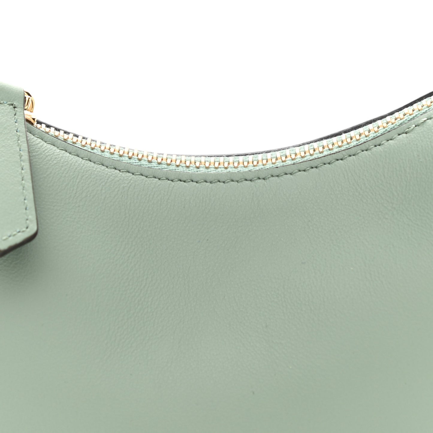 Vitello Grace New Matte Nano Fendigraphy Hobo Charm Menta