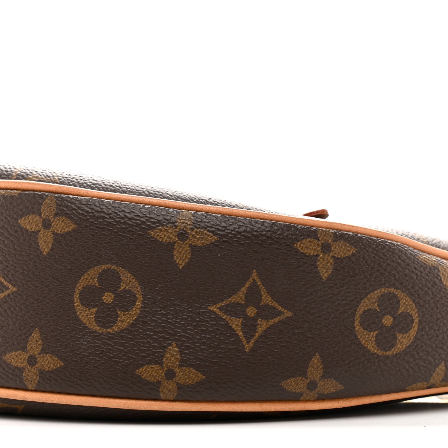 Louis Vuitton Monogram Loop 9 of 15