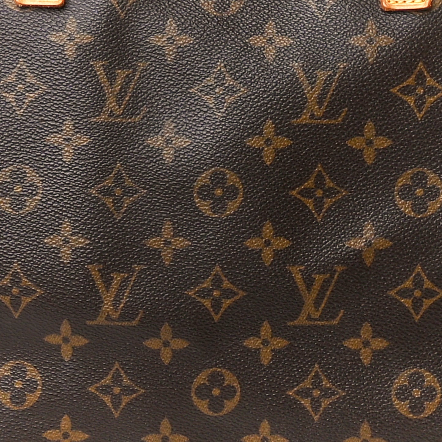 Monogram Cabas Mezzo