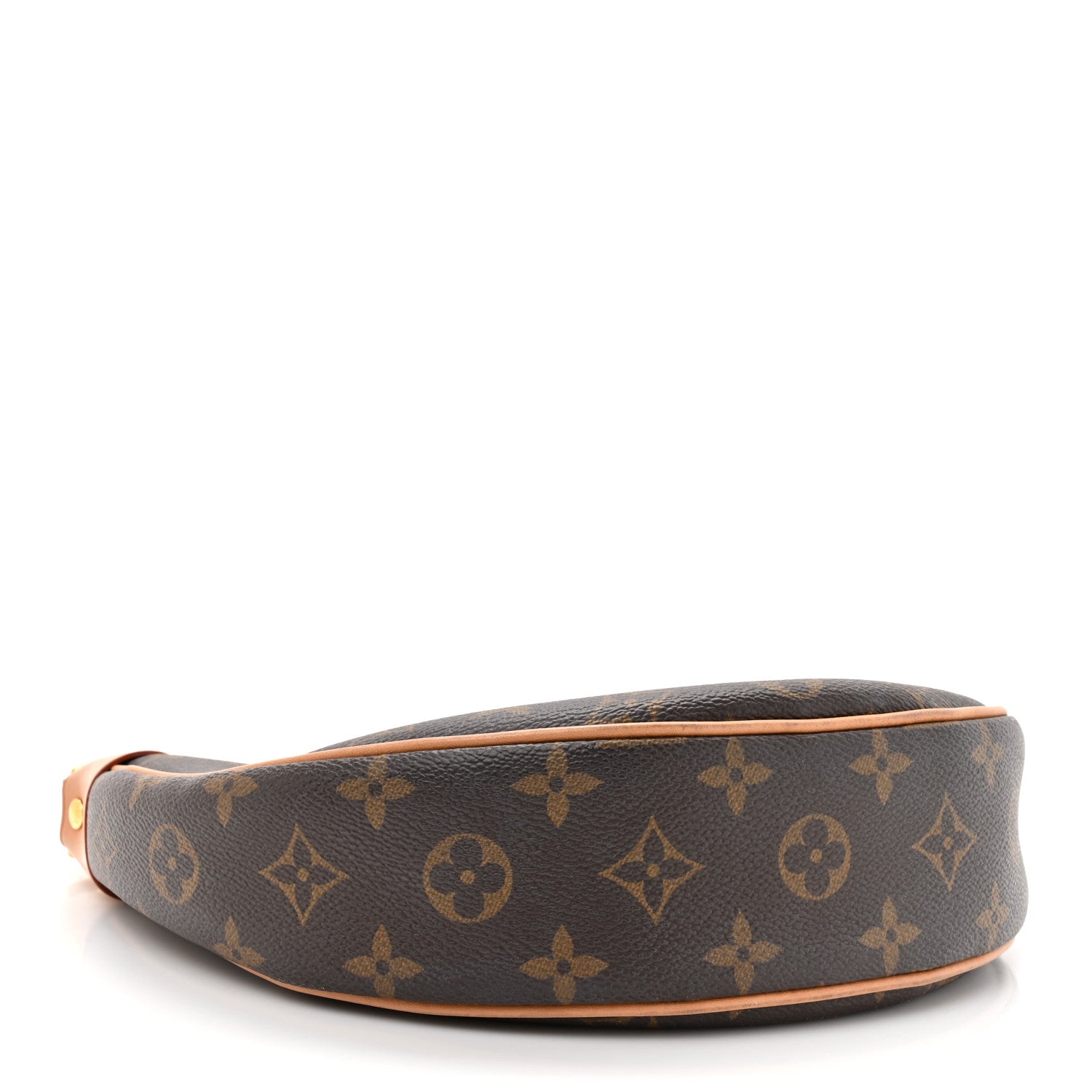Louis Vuitton Monogram Loop 4 of 13