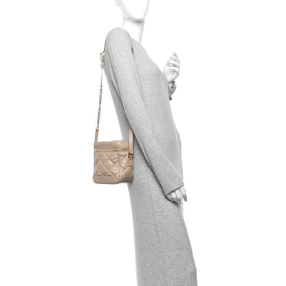 Saint Laurent Grain de Poudre Quilted 80's Vanity Bag Dark Beige 2 of 13
