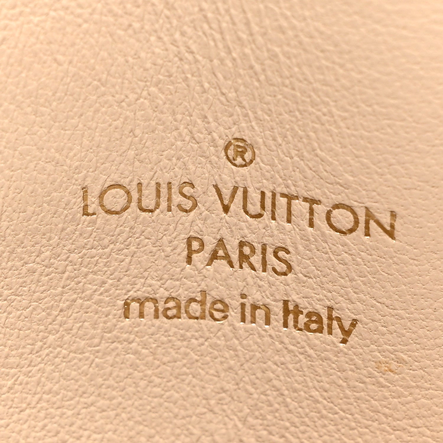 Louis Vuitton Colored Monogram Speedy Amazon PM Blue Black 6 of 11