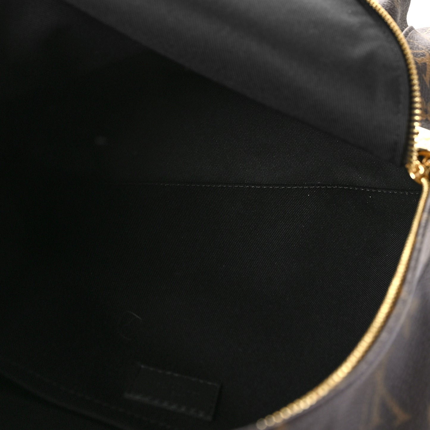 Monogram Palm Springs Backpack MM