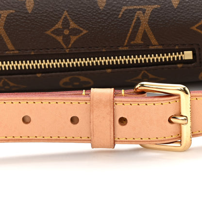 Louis Vuitton Monogram Bumbag 13 of 14