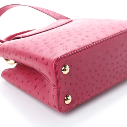 Louis Vuitton Ostrich Capucines BB Berry 8 of 9