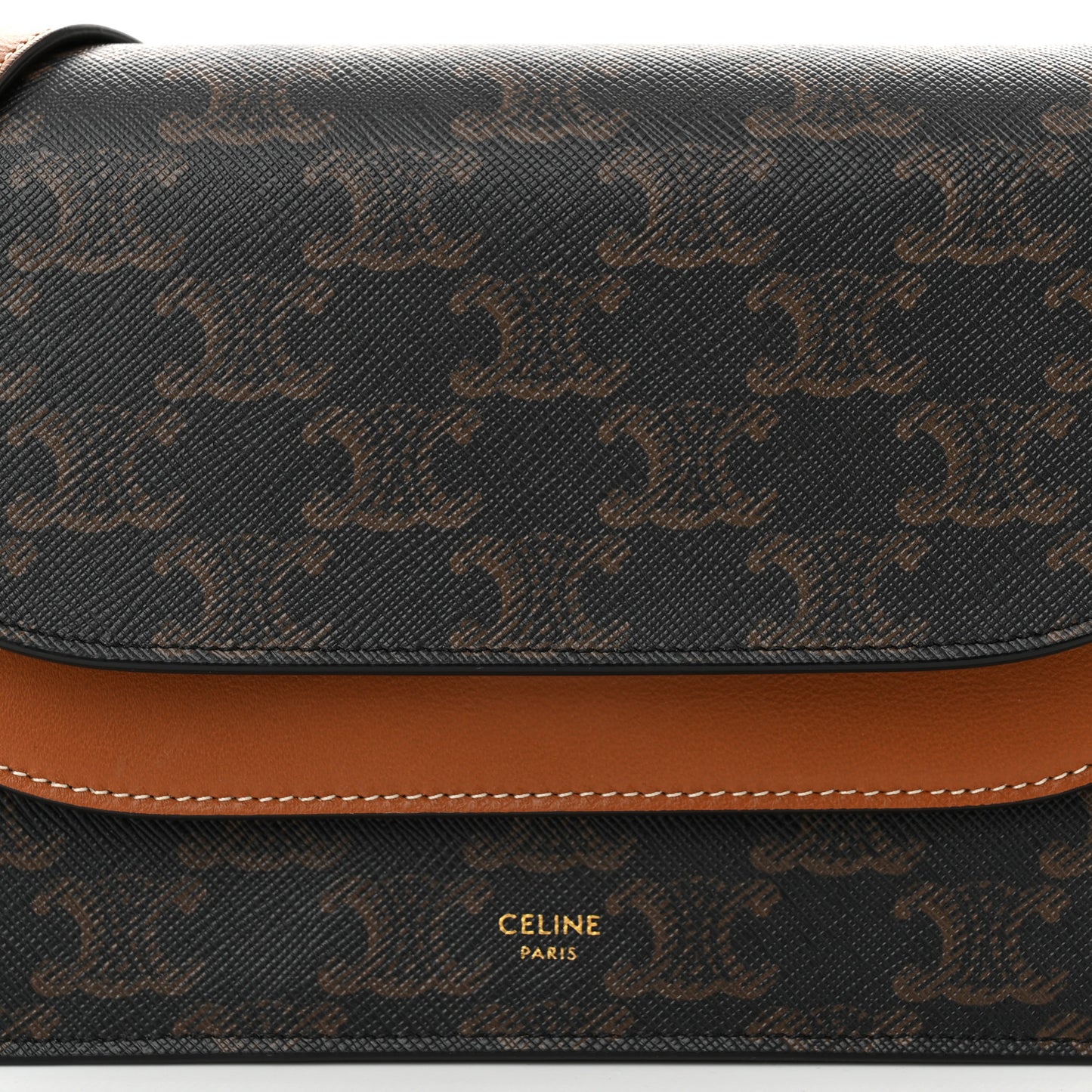 Triomphe Canvas Lambskin Wallet On Strap Tan