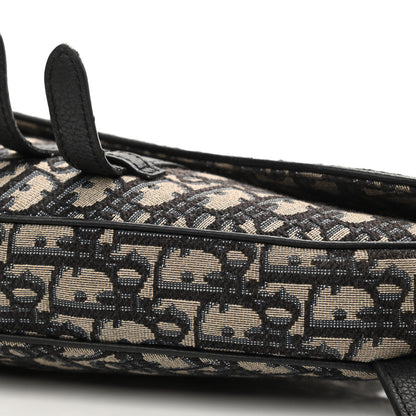 Christian Dior Oblique Mens Saddle Bag 10 of 14