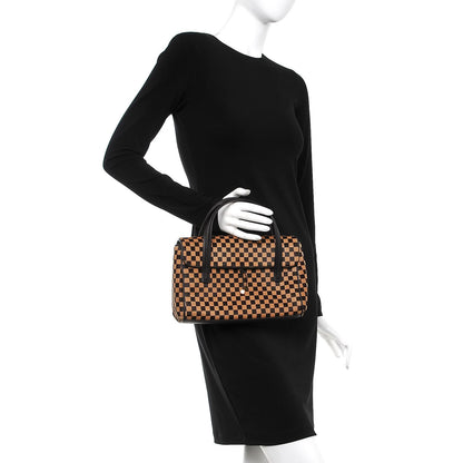 Louis Vuitton Damier Calf Hair Sauvage Lionne 2 of 7