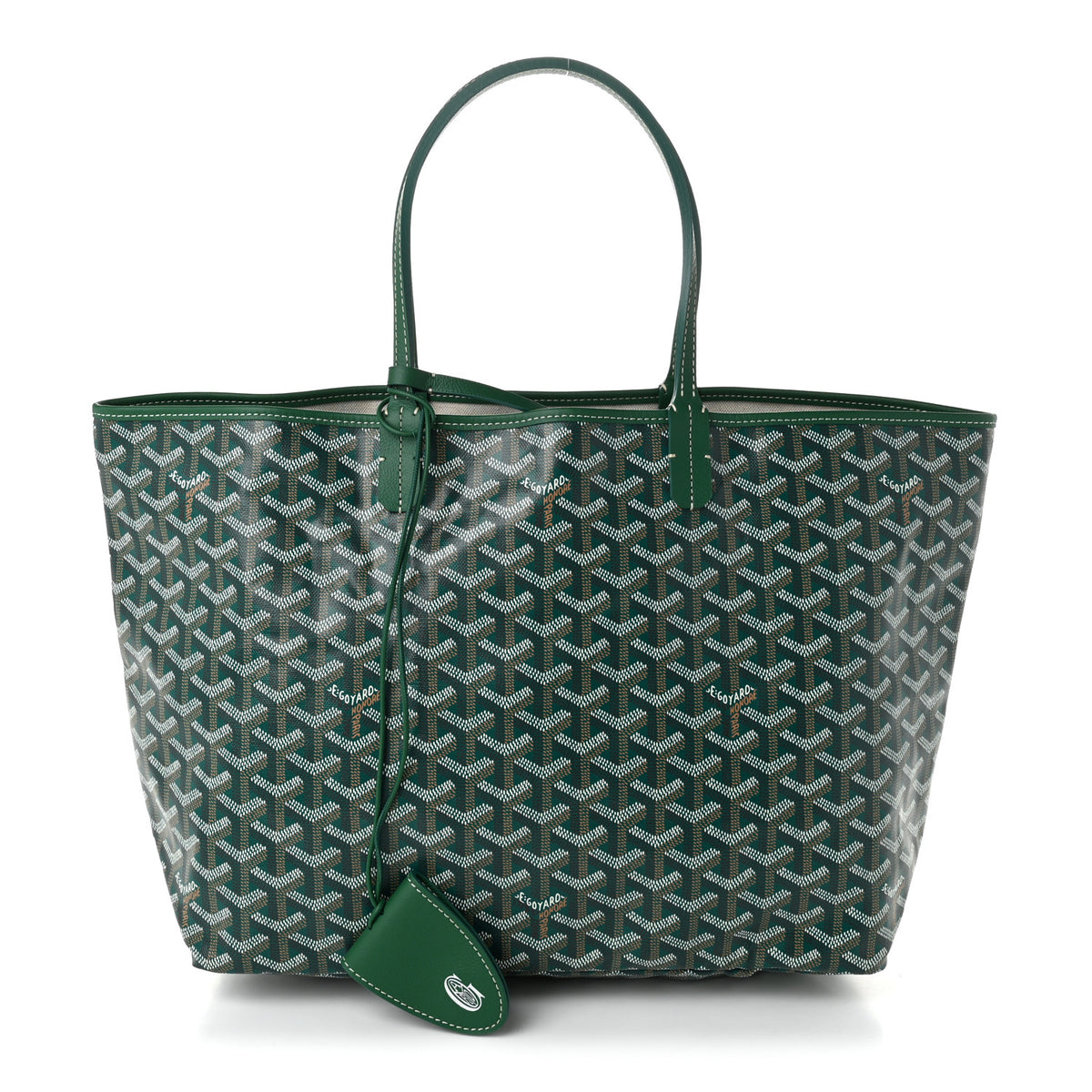 Goyard Goyardine Saint Louis PM Green 1 of 11