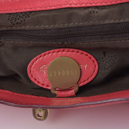 Mulberry Soft Buffalo Mini Alexa Watermelon 8 of 14