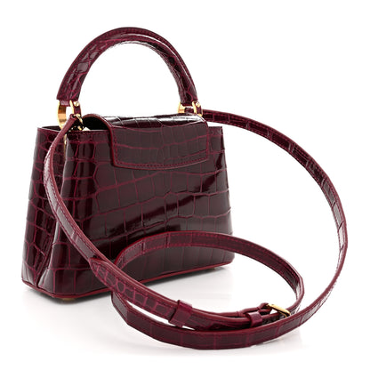 Louis Vuitton Crocodile Mini Capucines  Bordeaux 3 of 10