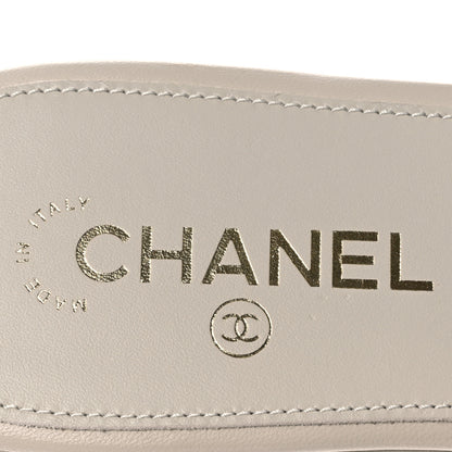Chanel Lambskin Quilted Turnlock Flat Mules 39.5 Light Gray 9 of 14