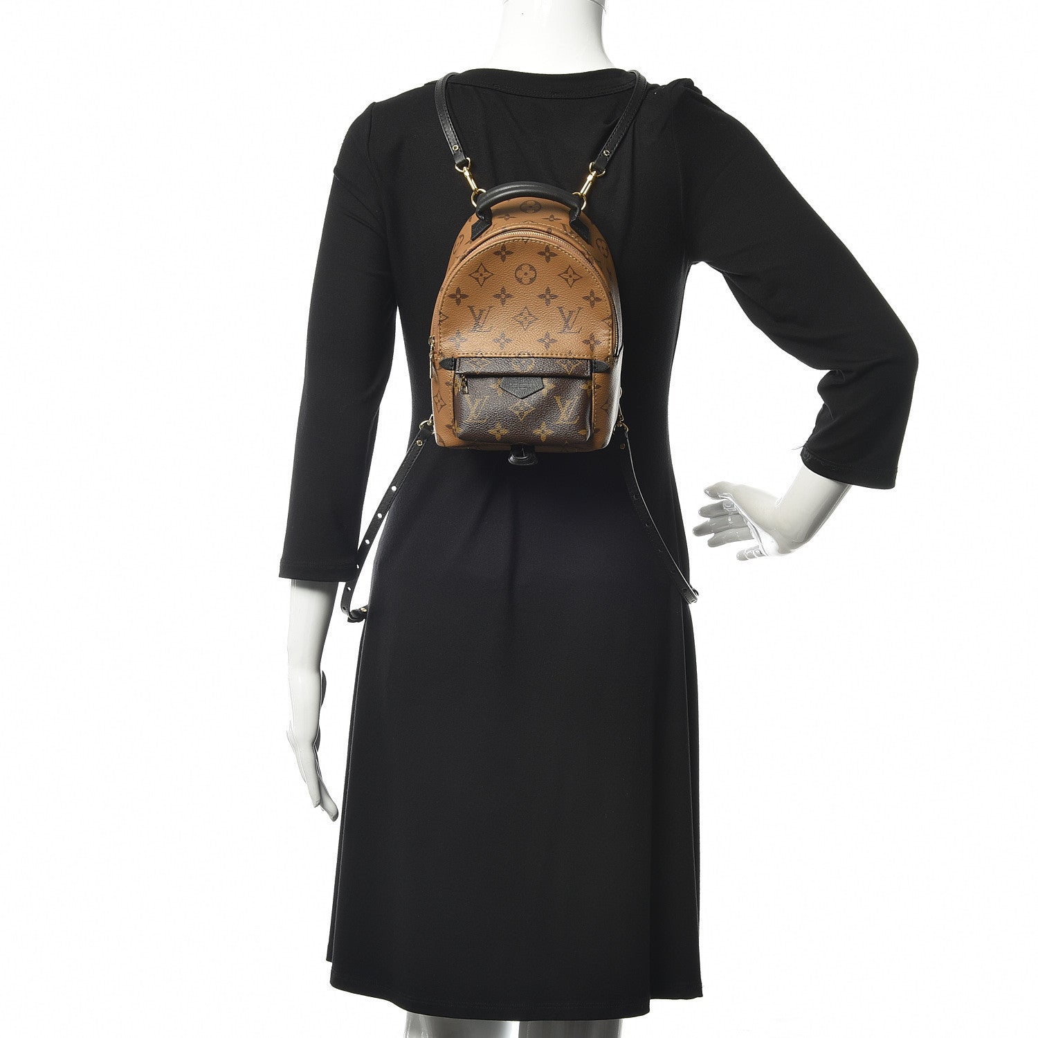 Louis Vuitton Reverse Monogram Palm Springs Backpack Mini 2 of 10