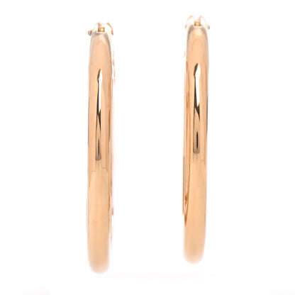 Louis Vuitton Metal Louise Hoop Earrings Gold 1 of 6