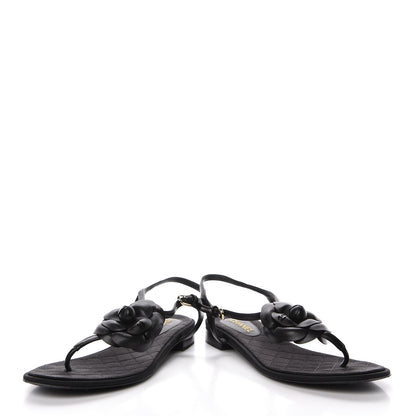 Chanel Lambskin Camellia Thong Sandals 38.5 Black 6 of 18