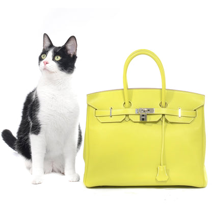 FASHIONPHILE FASHIONPHILE Pet Picks Calendar 4 of 14