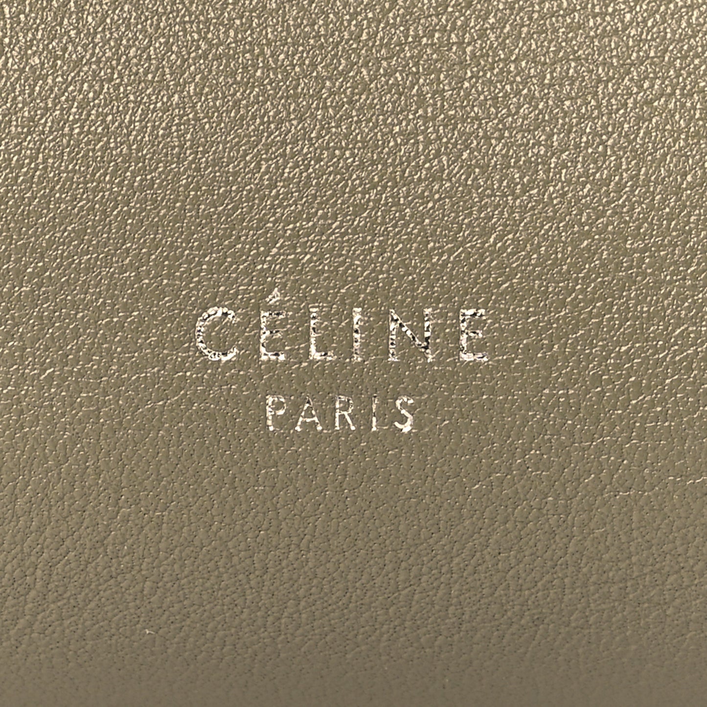 Supple Grained Calfskin Small Big Bag Sage