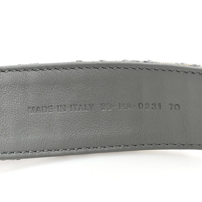 Christian Dior Oblique 30 Montaigne 35mm Belt 70 28 Gris 5 of 6