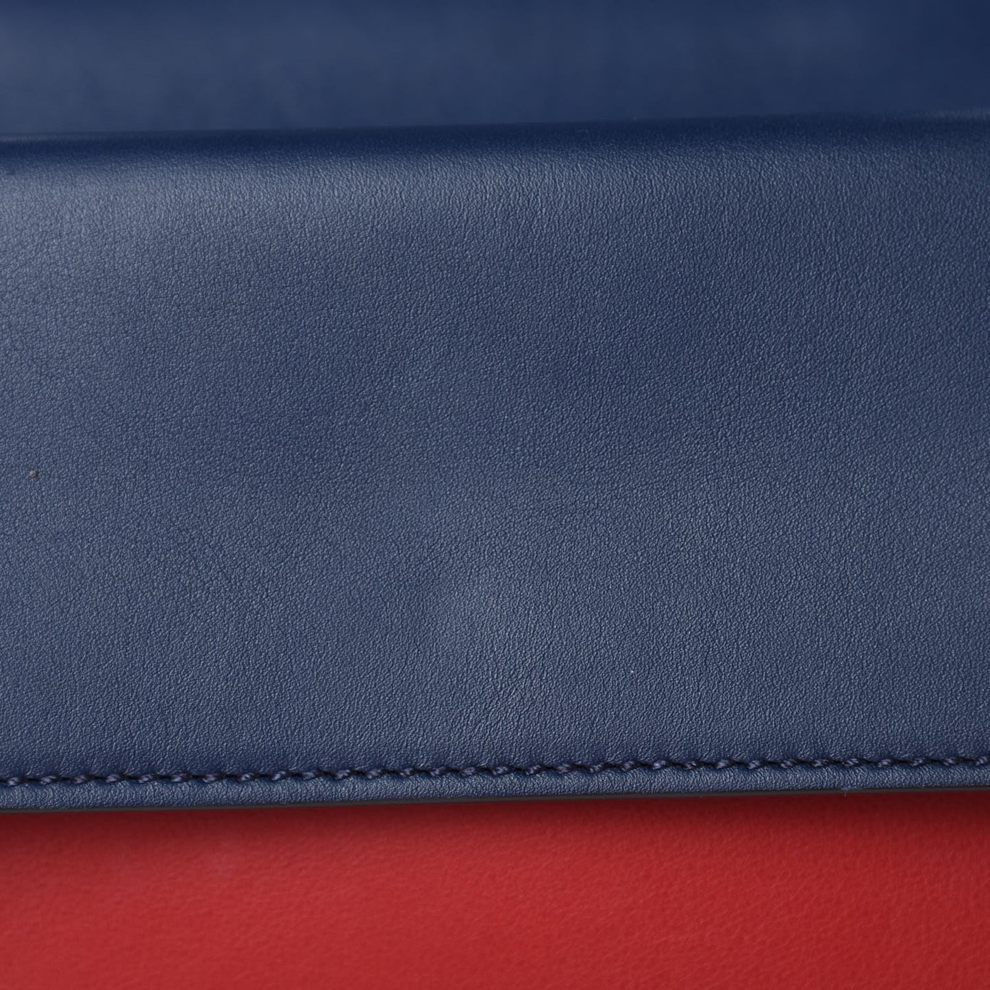 Calfskin Crystal Snake Embroidered Mini Dionysus Shoulder Bag Mystic White Hibiscus Red Blue Agata