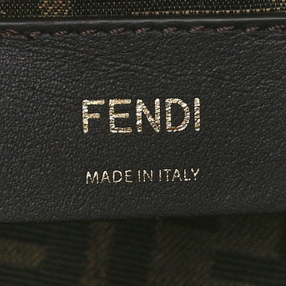 Fendi Vitello King Plexiglass Logo Embossed Mini By The Way Top Handle Boston Bag Tortora 6 of 9