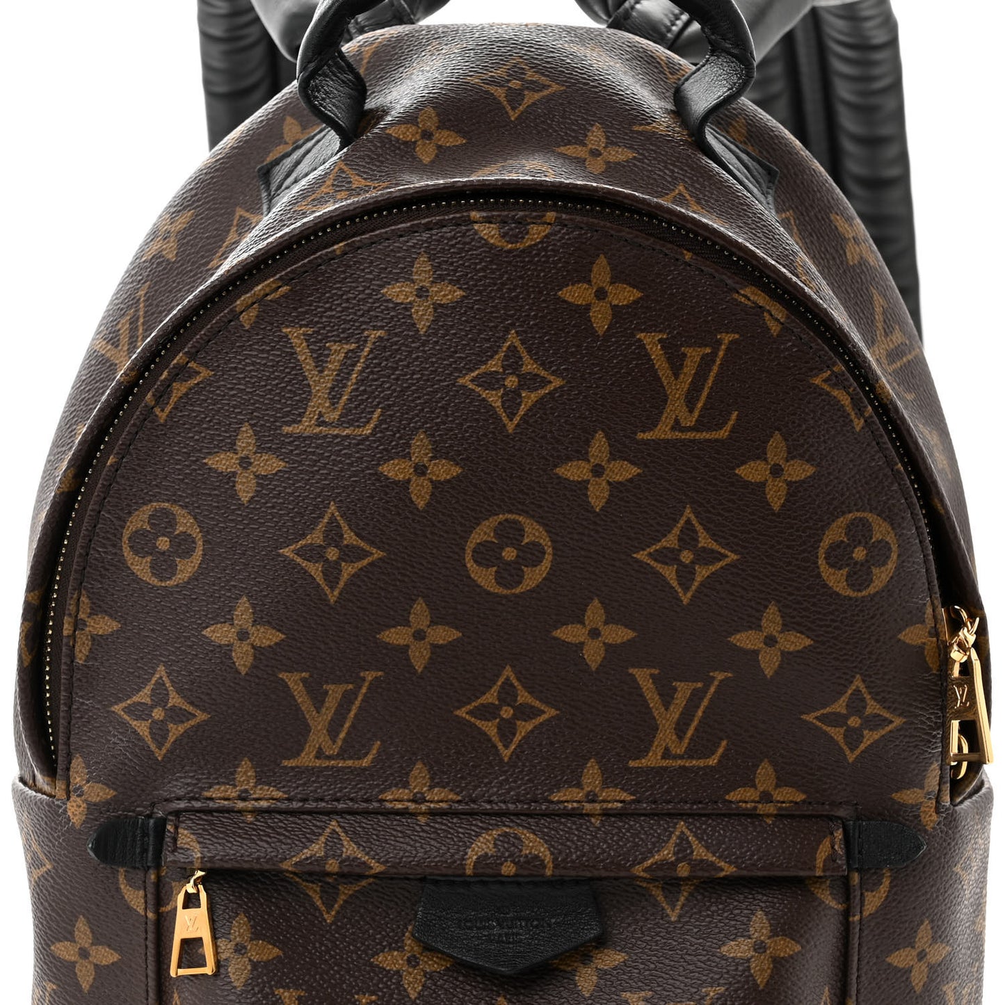 Monogram Palm Springs Backpack PM