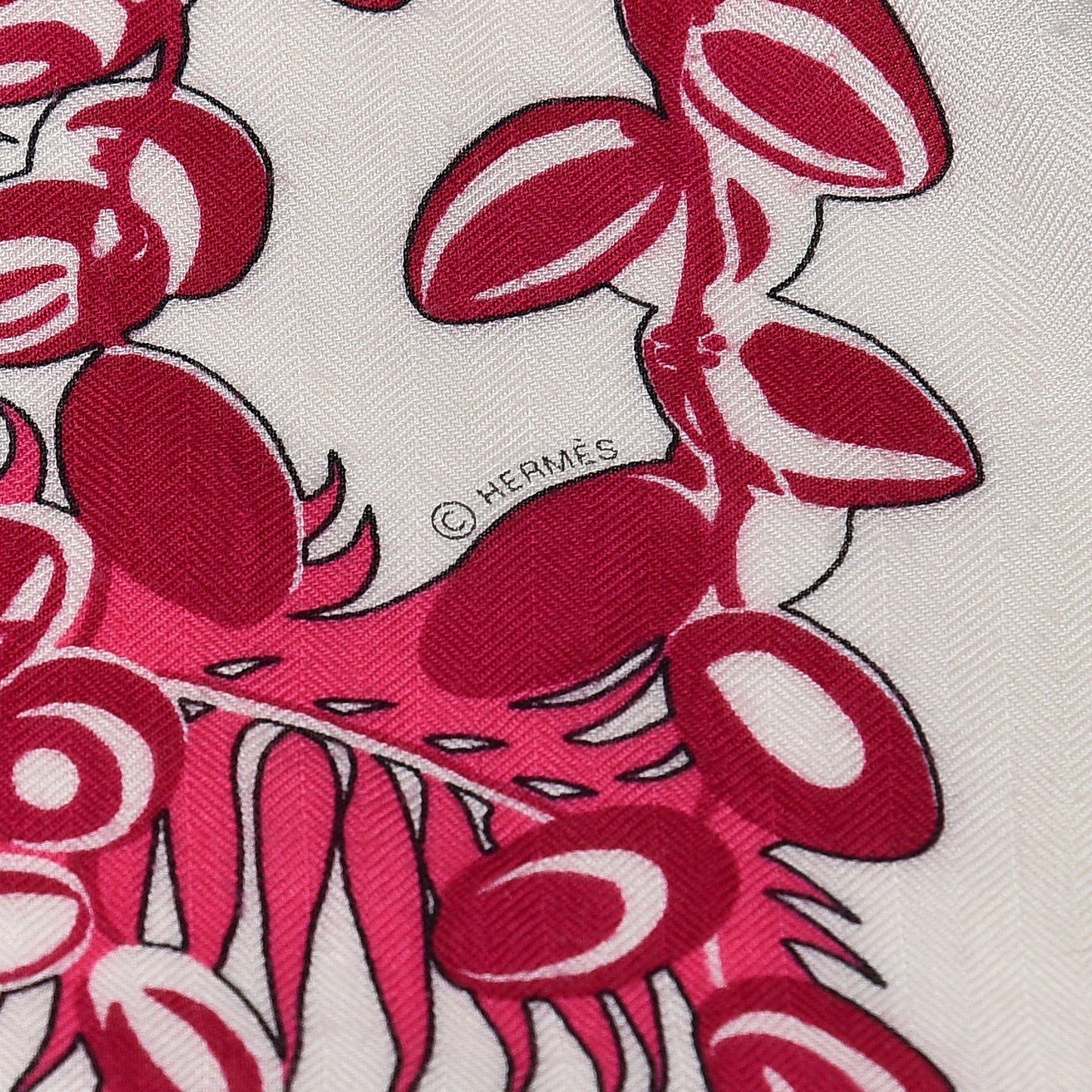 Cashmere Silk Mythiques Phoenix Coloriage Shawl 140 White Rose Black