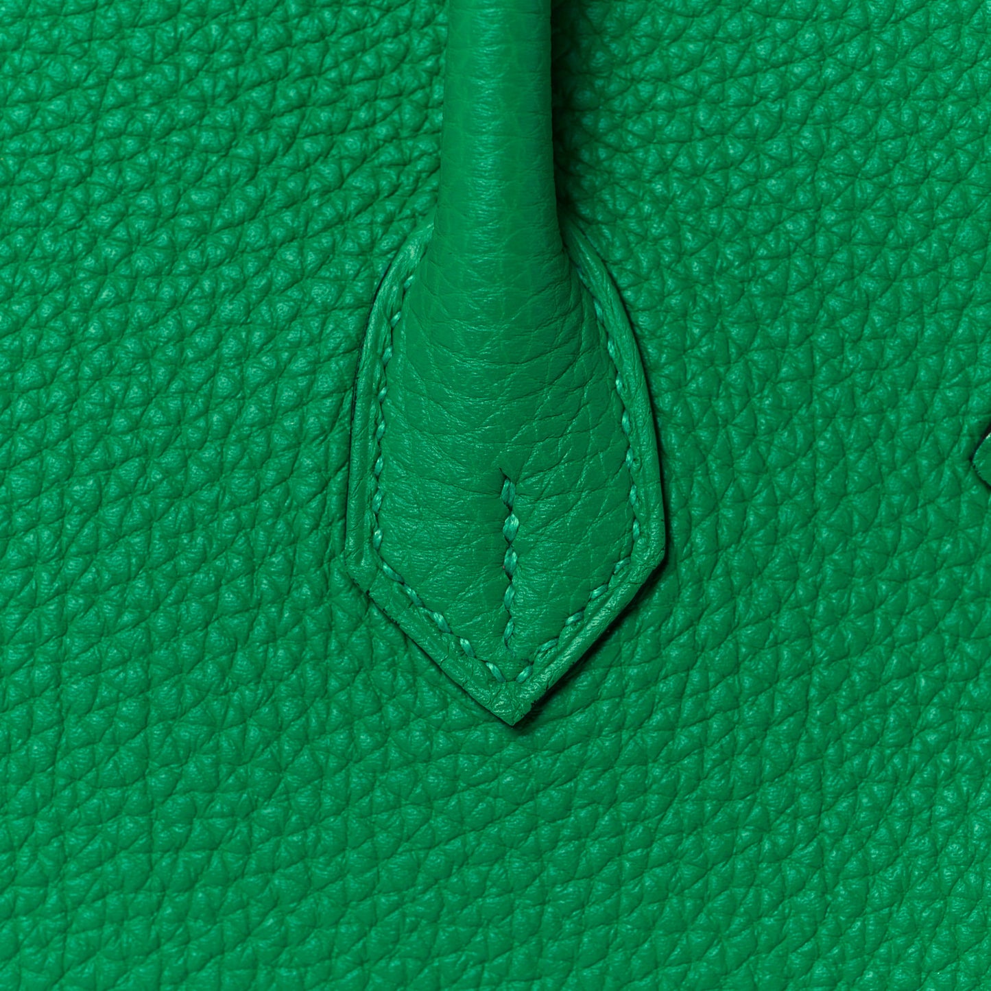 Togo Verso Birkin 25 Menthe Vert Bosphore