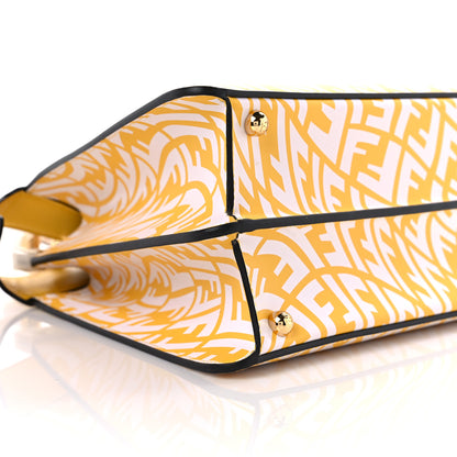 Fendi X SARAH COLEMAN Vitello Liberty Shiny Nappa Plexiglass FF Vertigo Medium Peekaboo I SEE U Satchel Mimosa White 5 of 9