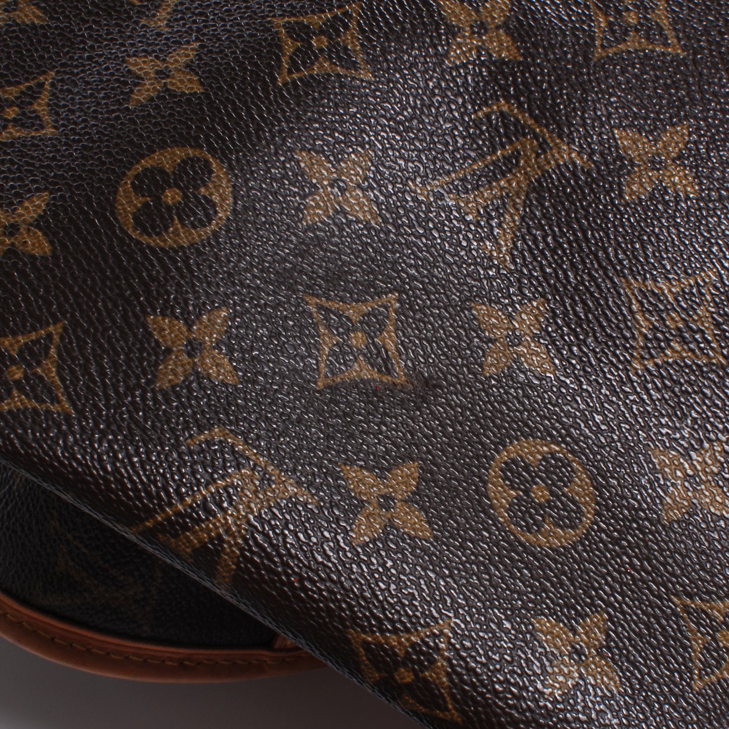 Monogram Garment Cover