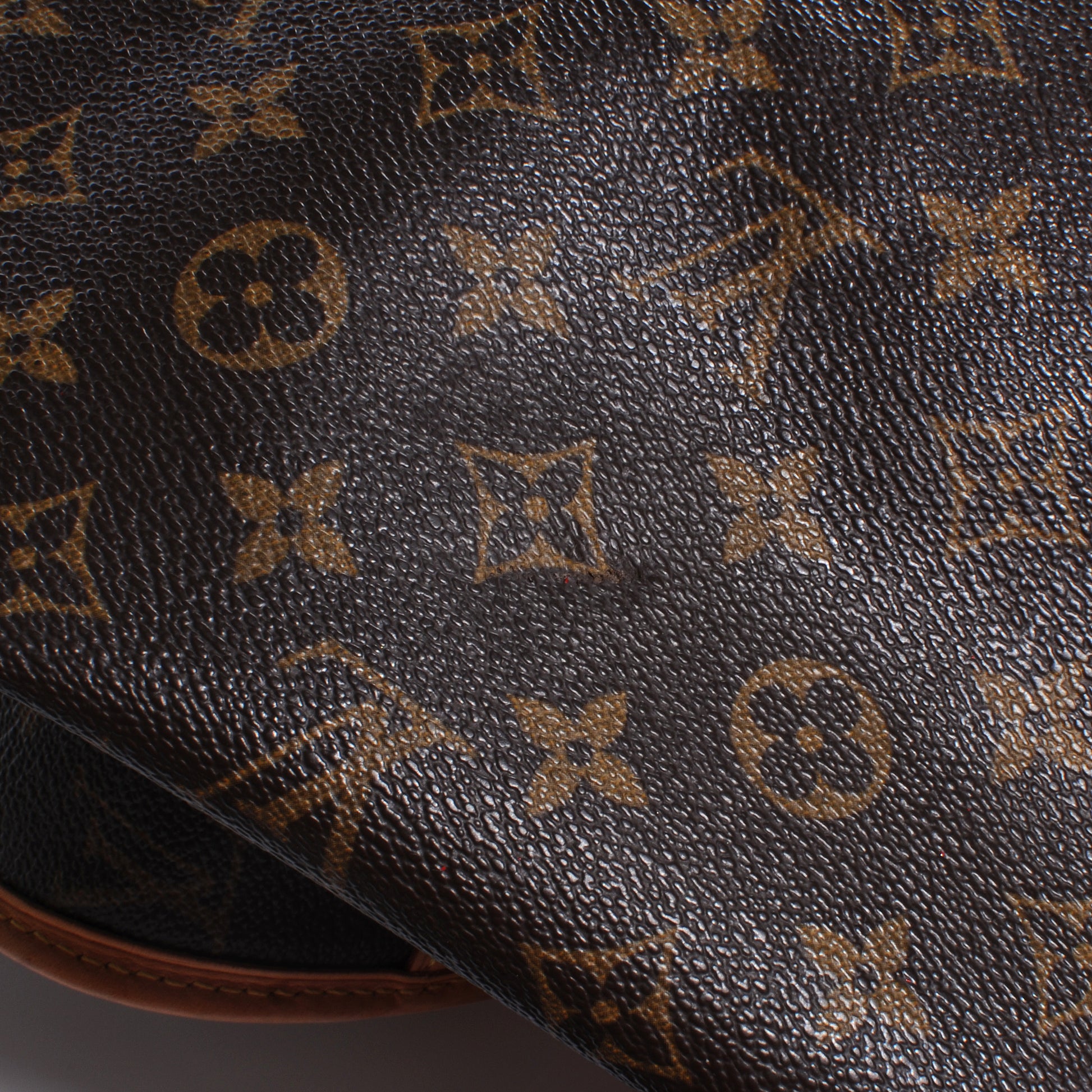 Louis Vuitton Monogram Garment Cover 7 of 7