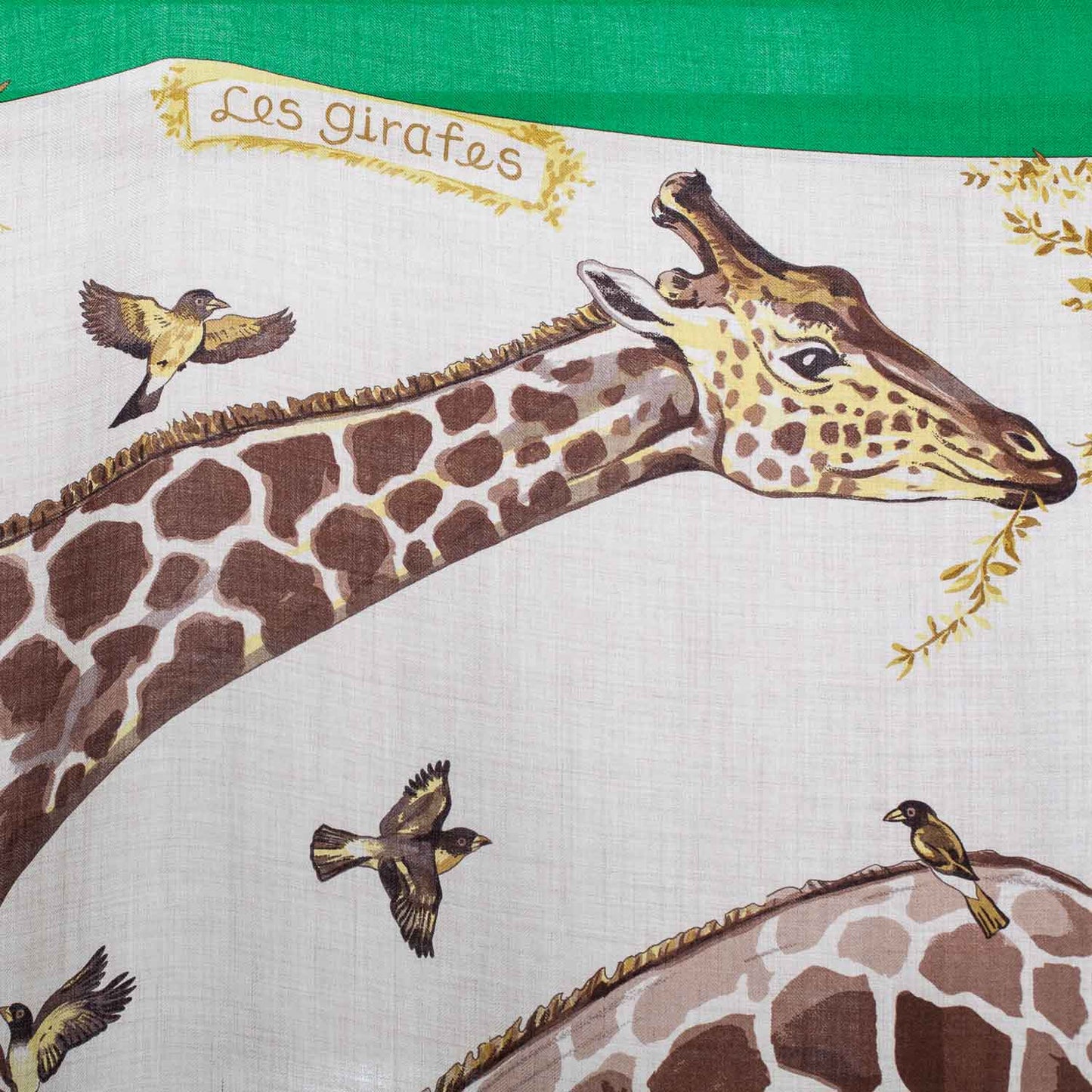 Cashmere Silk Les Girafes Shawl 140