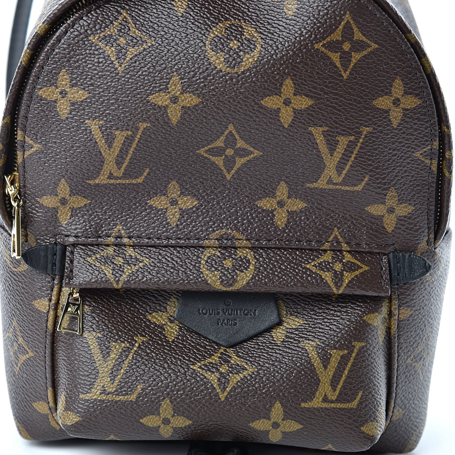 Monogram Palm Springs Backpack Mini