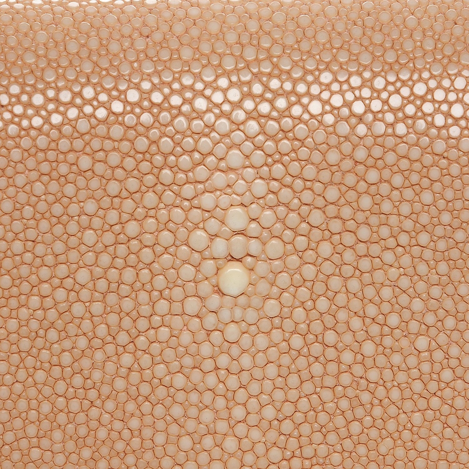 Chanel Galuchat Stingray Medium Boy Flap Light Pink 8 of 8