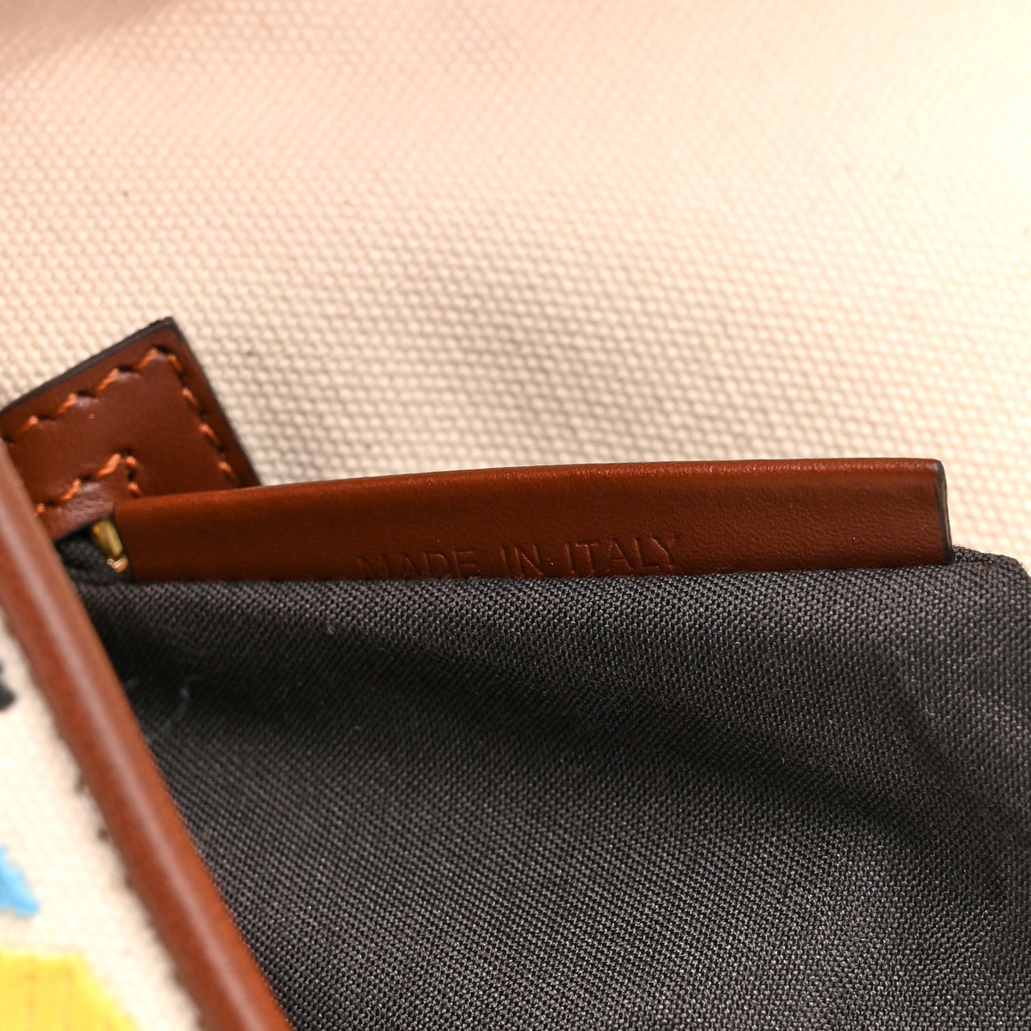 X SARA COLEMAN Canvas Vitello King Seta FF Fish Eye Embroidered Baguette Grezzo Multicolor Ghianda