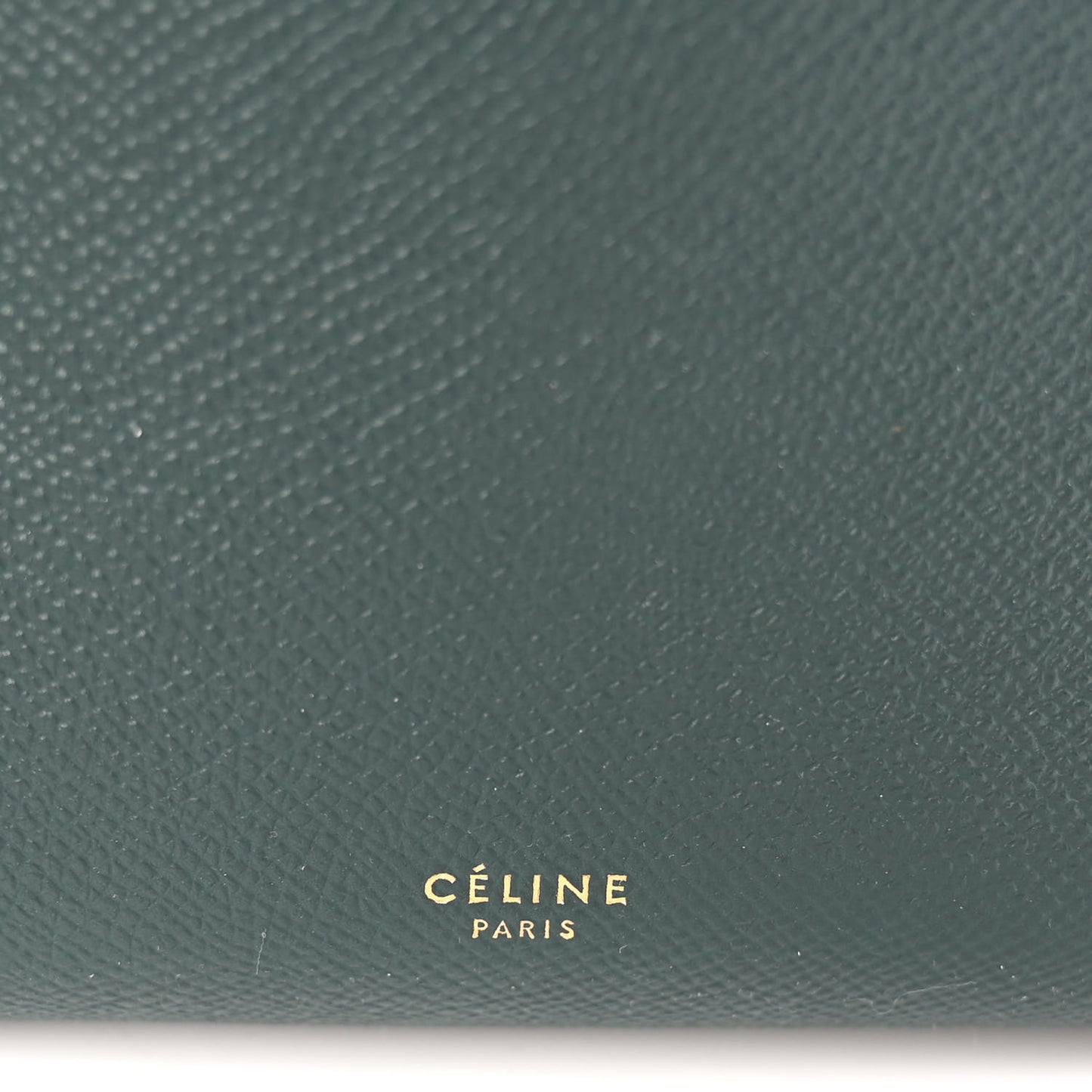 Grained Calfskin Nano Belt Bag Amazone