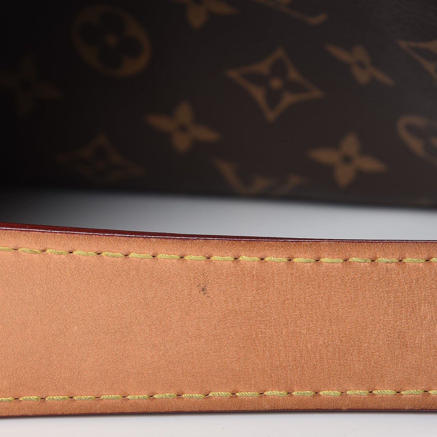 Monogram Sully MM