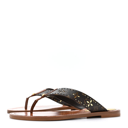 Louis Vuitton Monogram Sunny Flat Thong Sandals 36 Brown 3 of 9