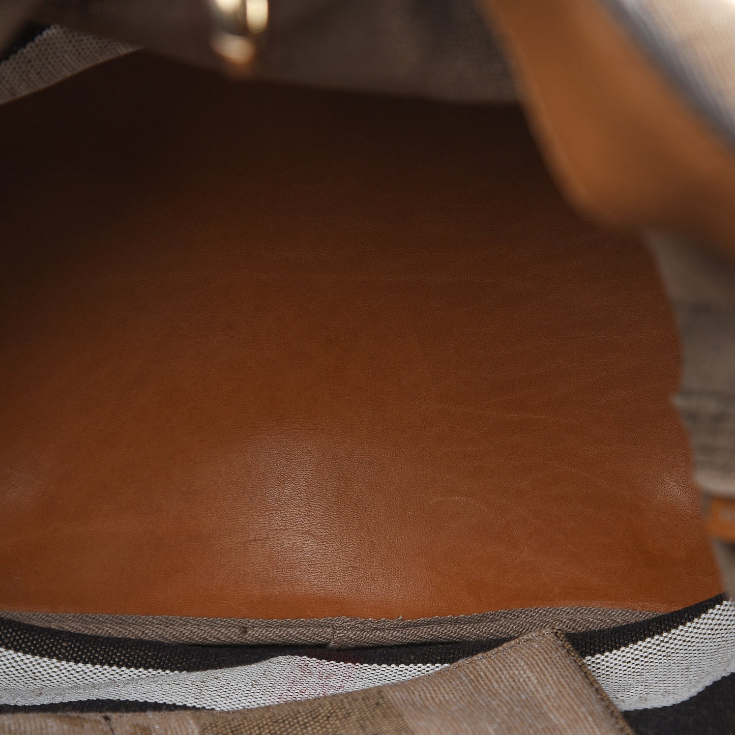 Grainy Calfskin Canvas Mega Check Medium Ashby Tassel Hobo Saddle Brown