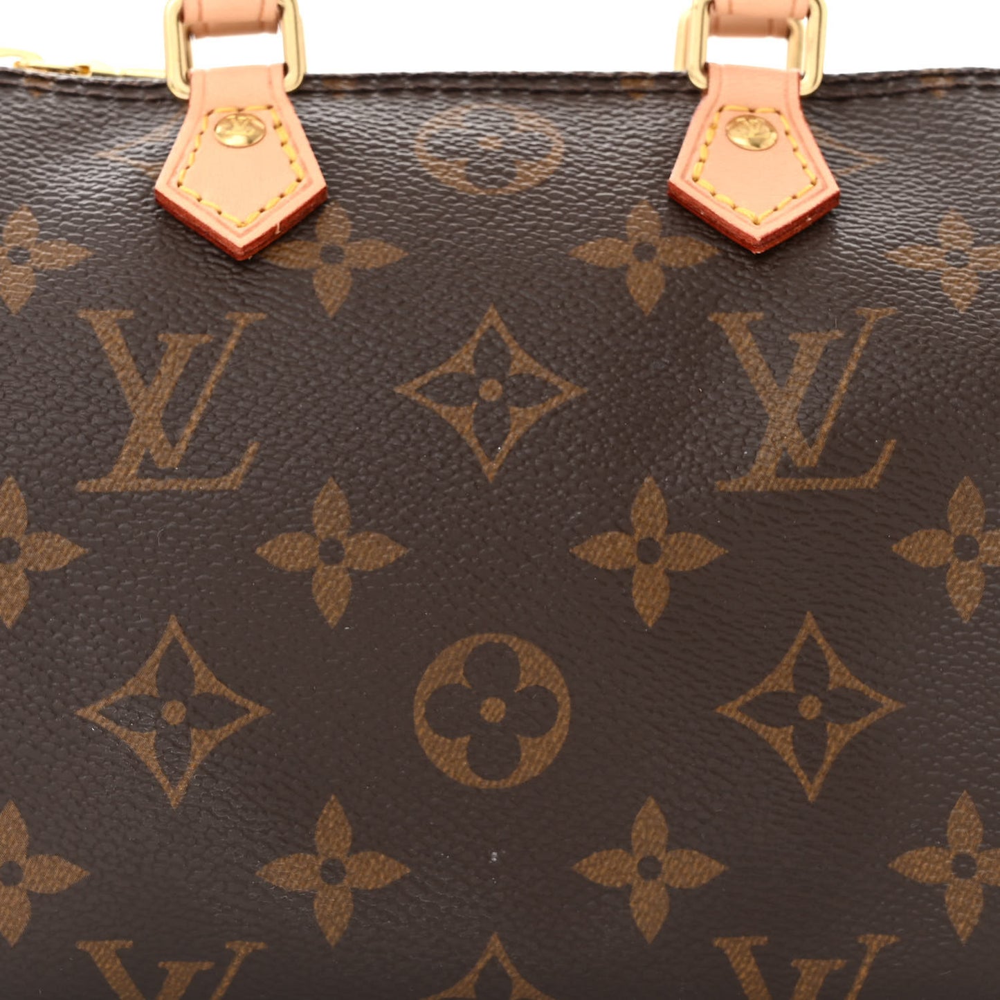 Monogram Nano Speedy